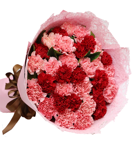 【永驻我心】33朵粉色红色康乃馨/合肥鲜花速递同城生日送长辈老师