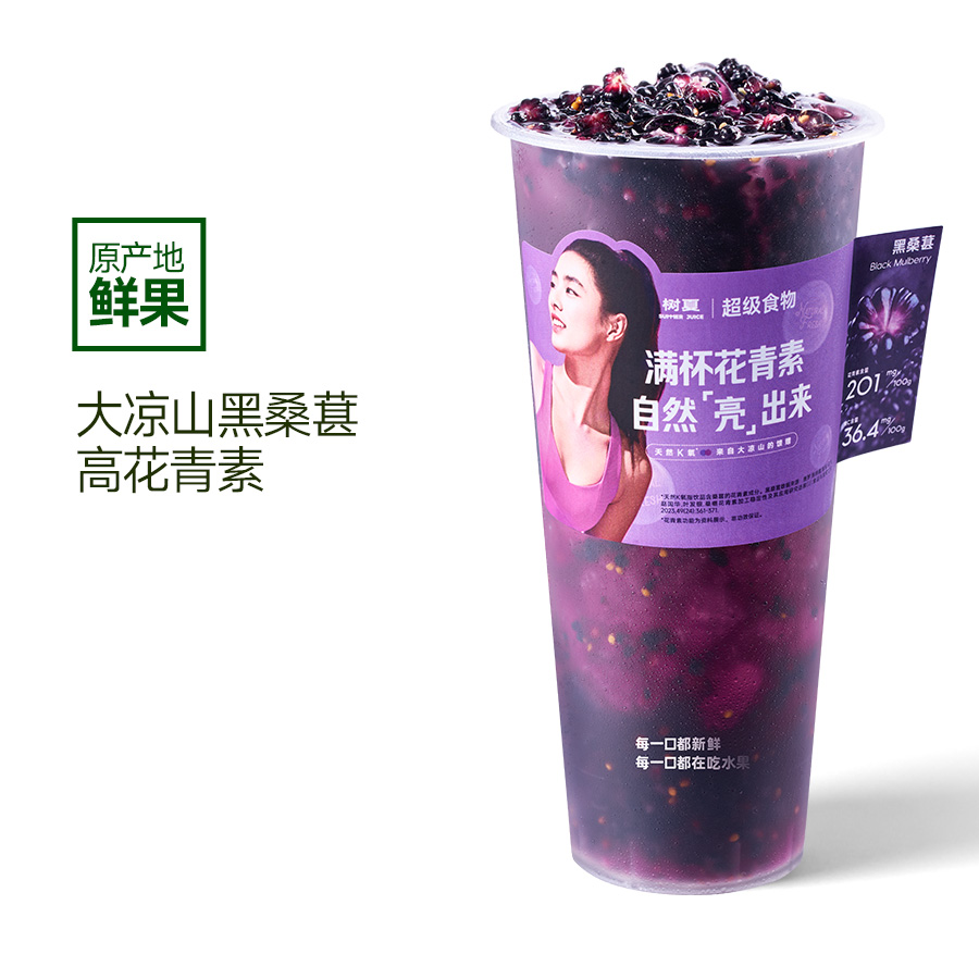 紫光黑桑葚