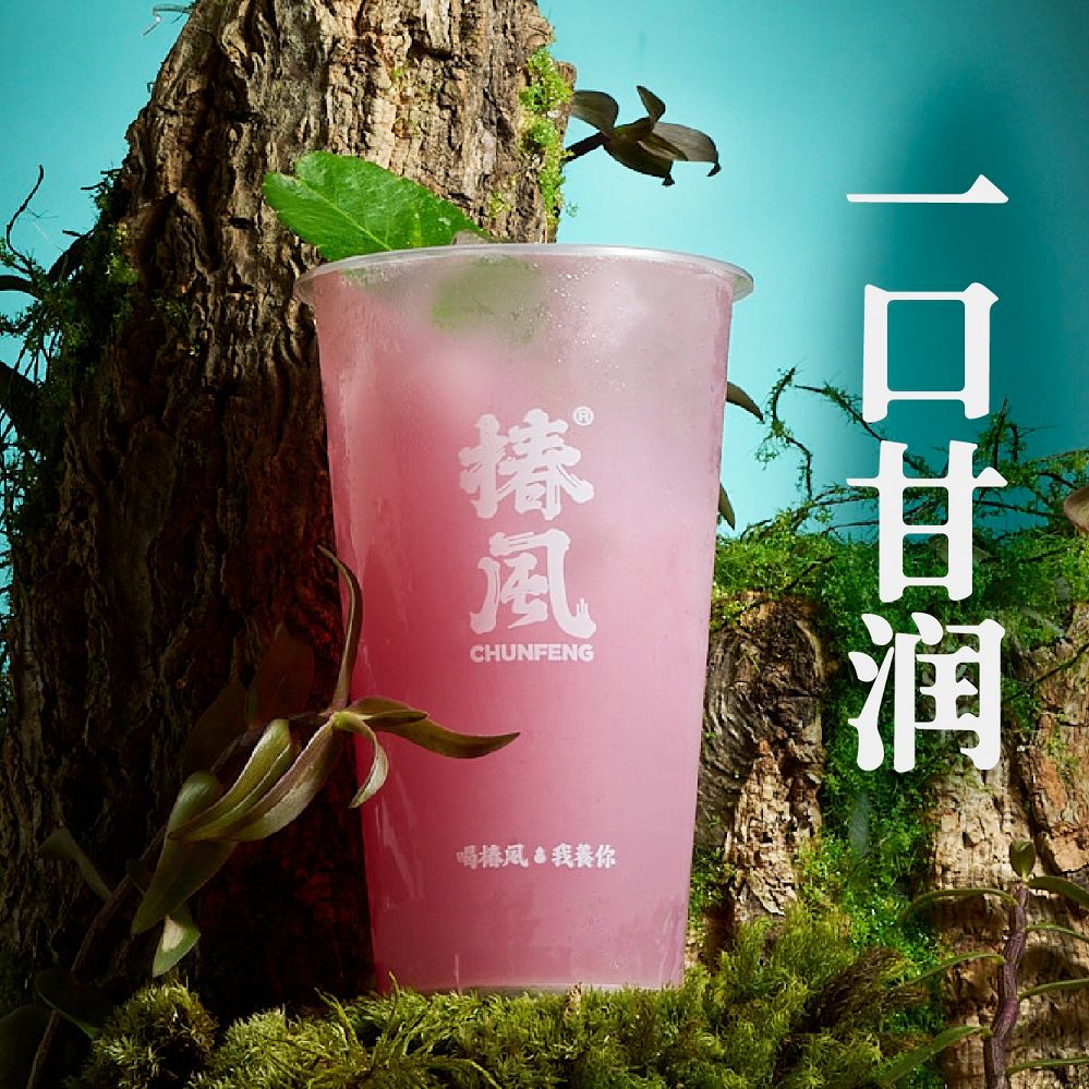 超润铁皮石斛茉莉
