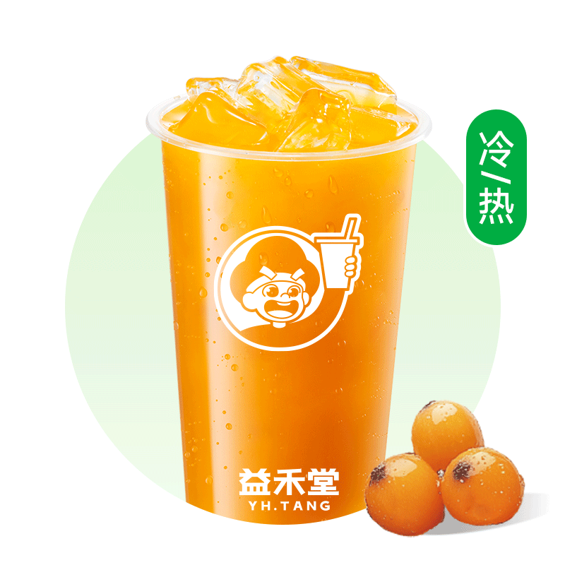 山西沙棘