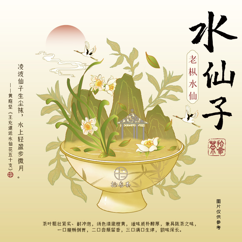 水仙子【现泡】