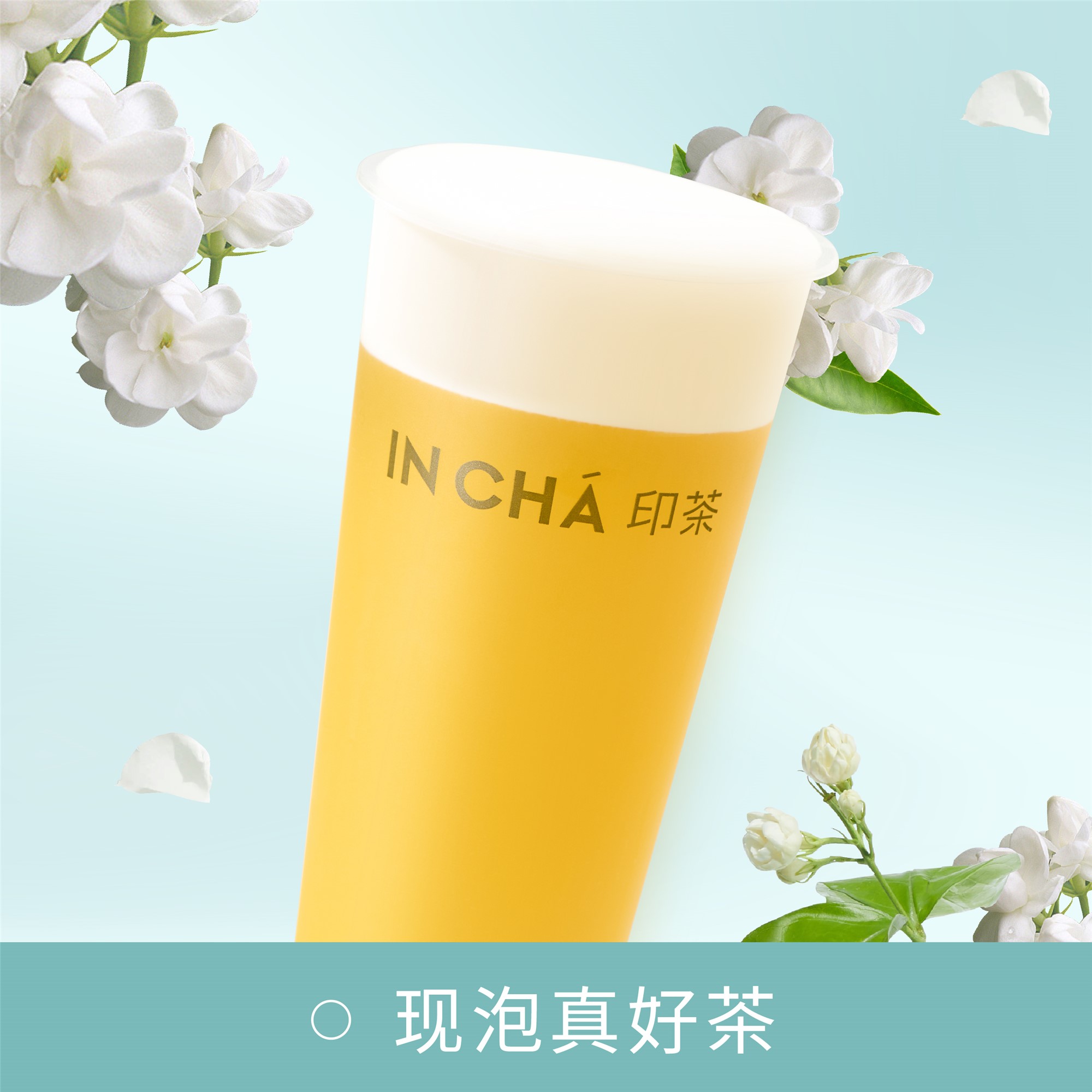 云上茉莉