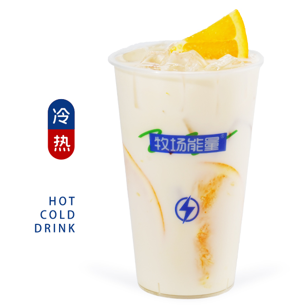 橙意山茶花
