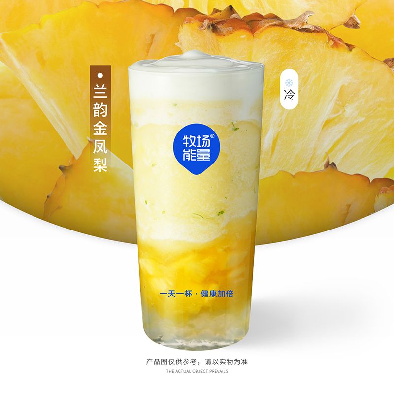 兰韵金凤梨
