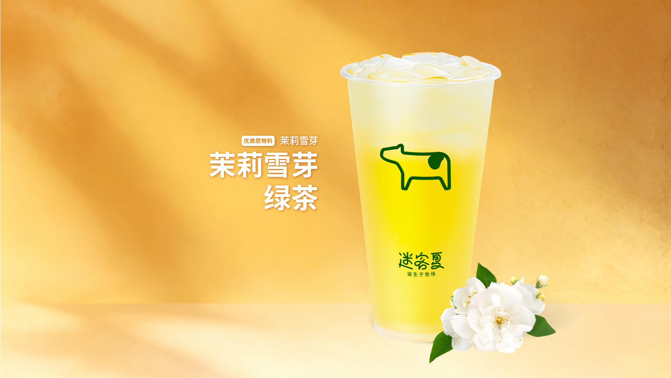 茉莉雪芽·绿茶
