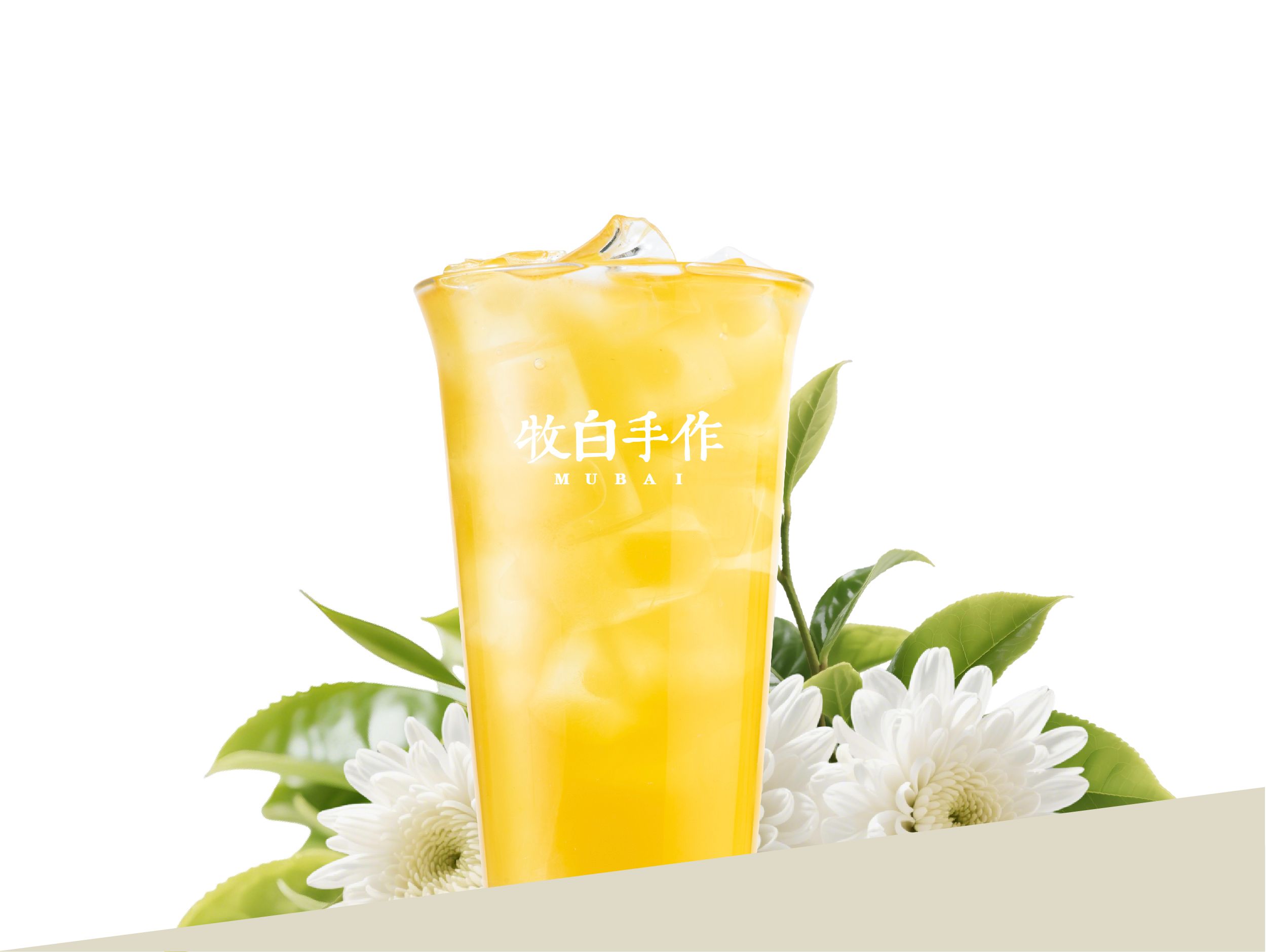 金盏普洱