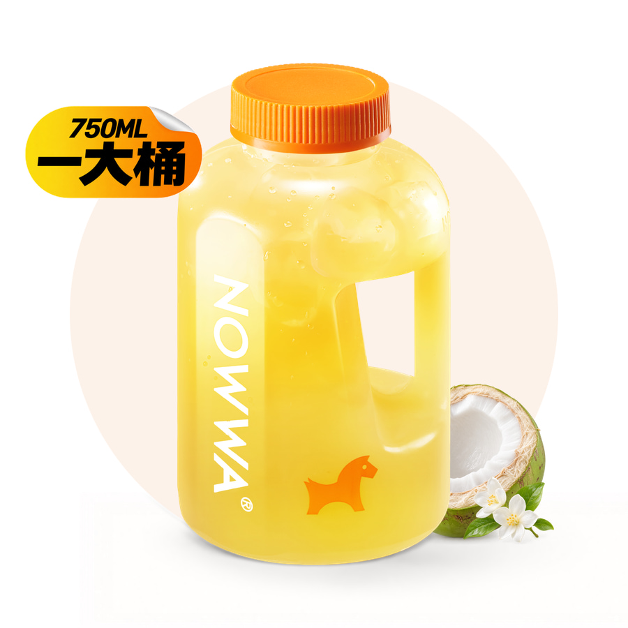 吨吨桶茉莉冰椰茶