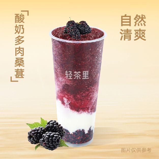 酸奶多肉桑葚