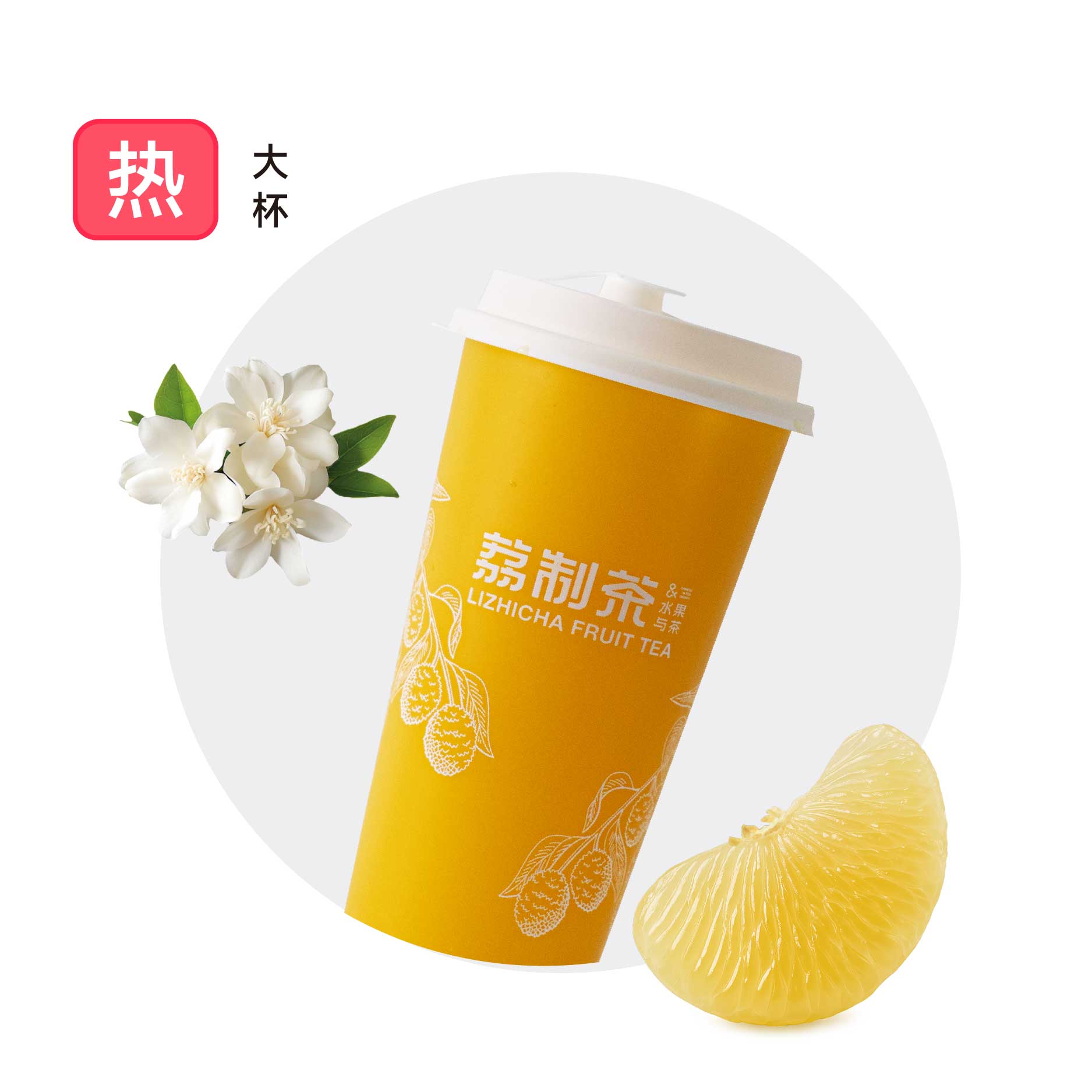 白柚热橙橙