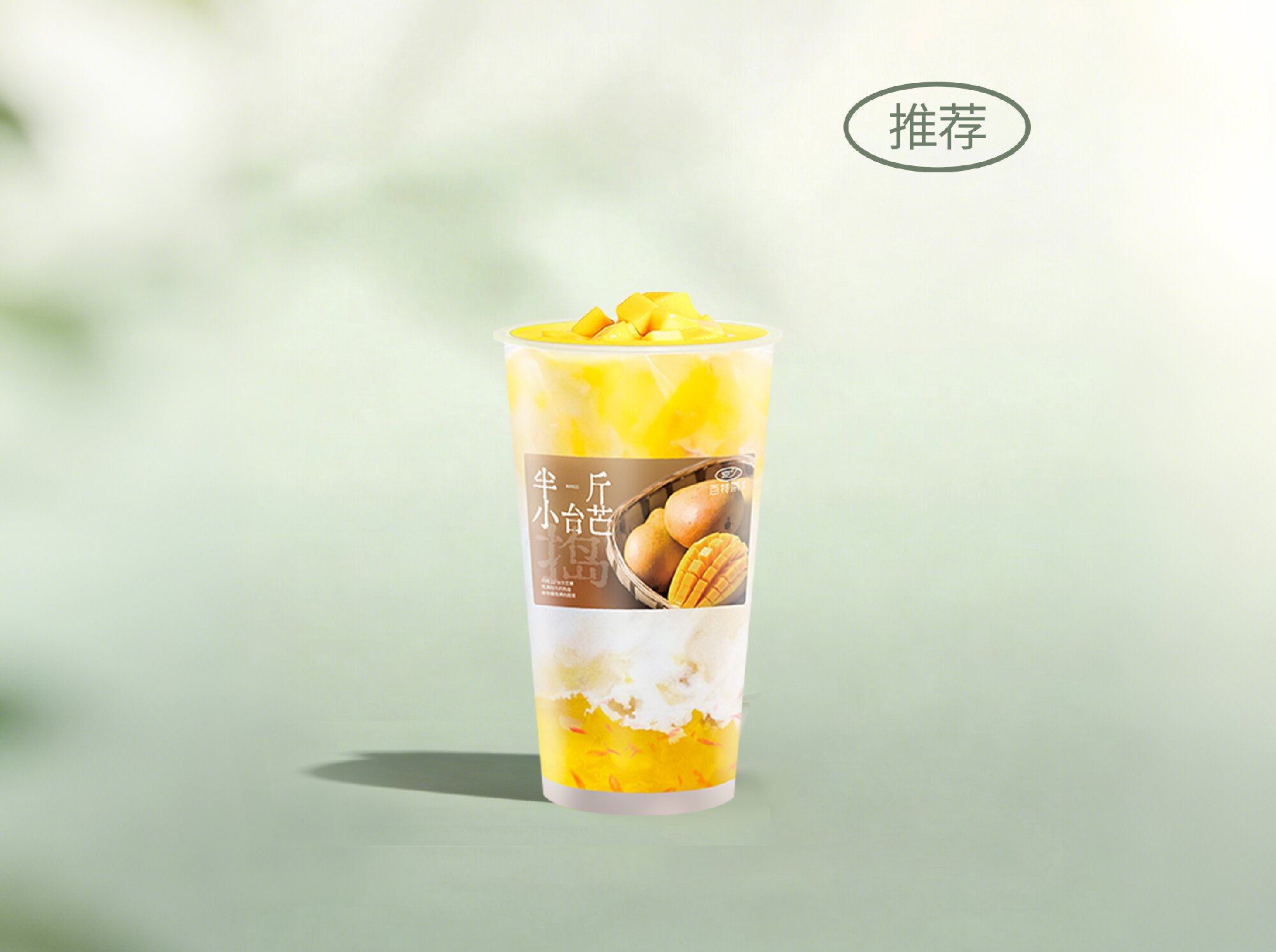 捣·树熟台芒椰