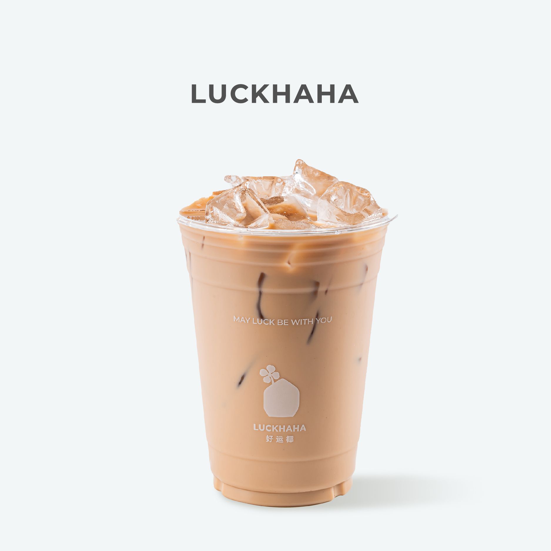 轻椰黑茶