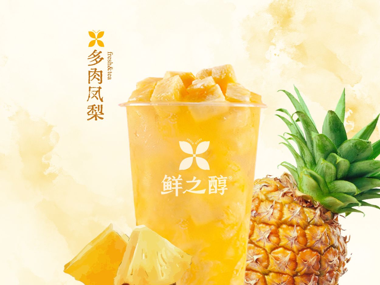 多肉凤梨
