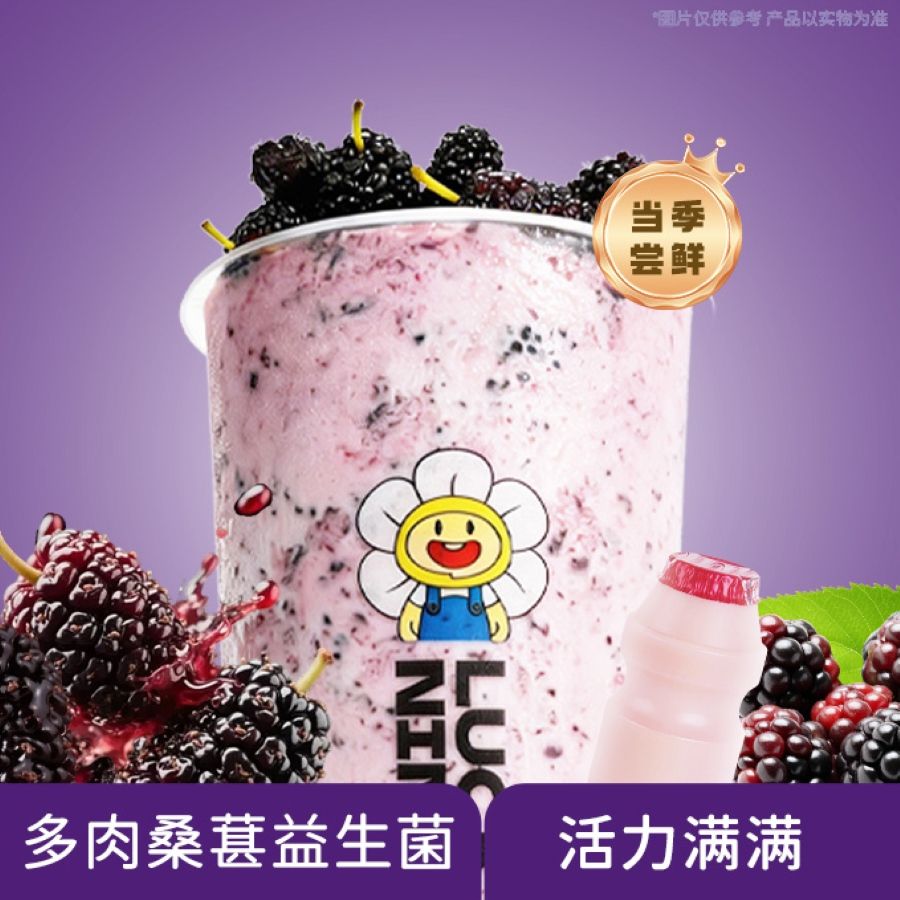 多肉桑葚益生菌