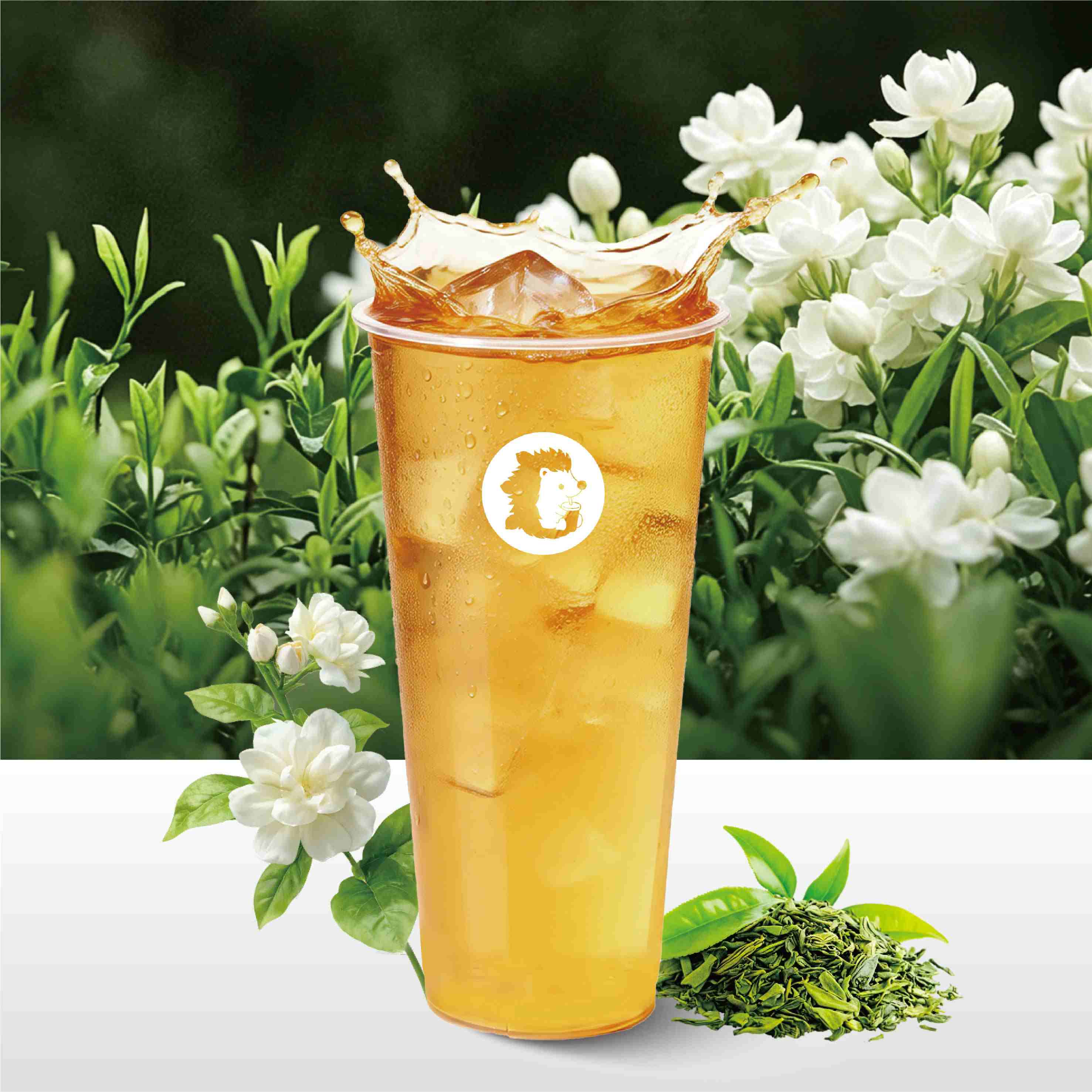 茉莉雪芽绿茶