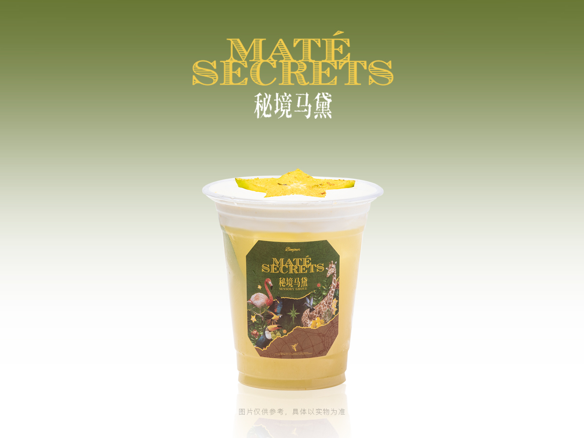 星芒绵云马黛特调