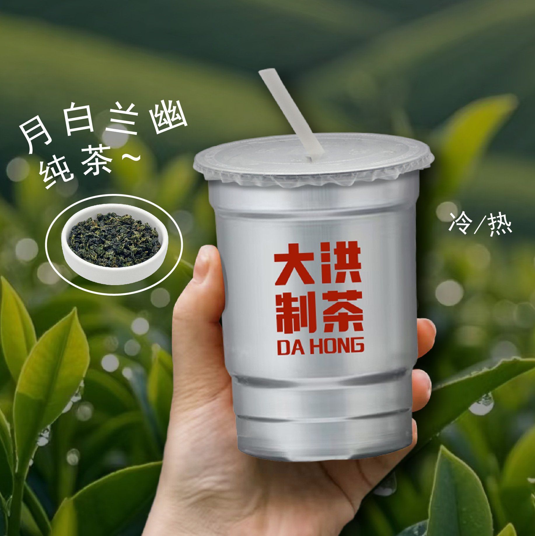 月白兰幽(现萃纯茶)