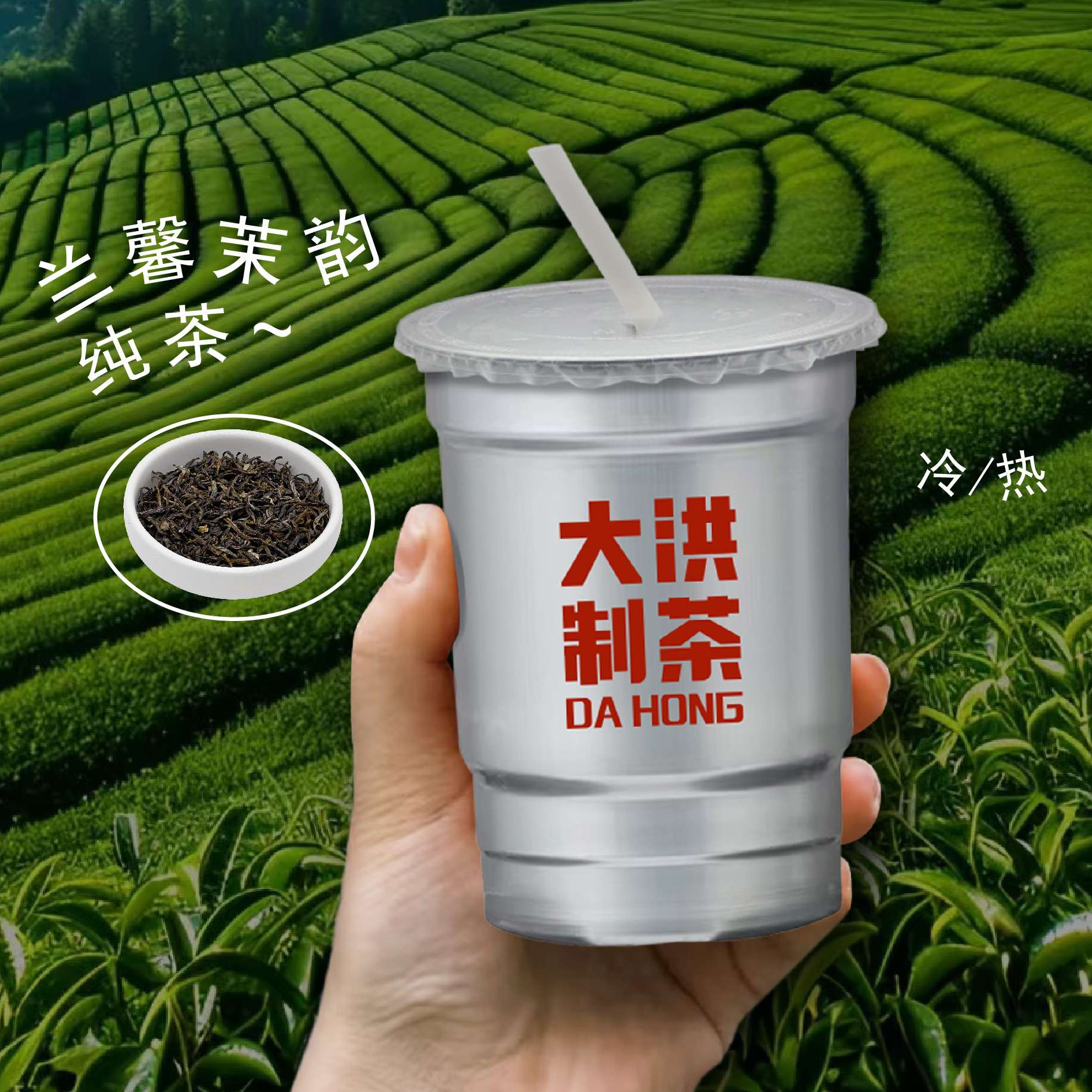 兰馨茉韵(现萃纯茶)