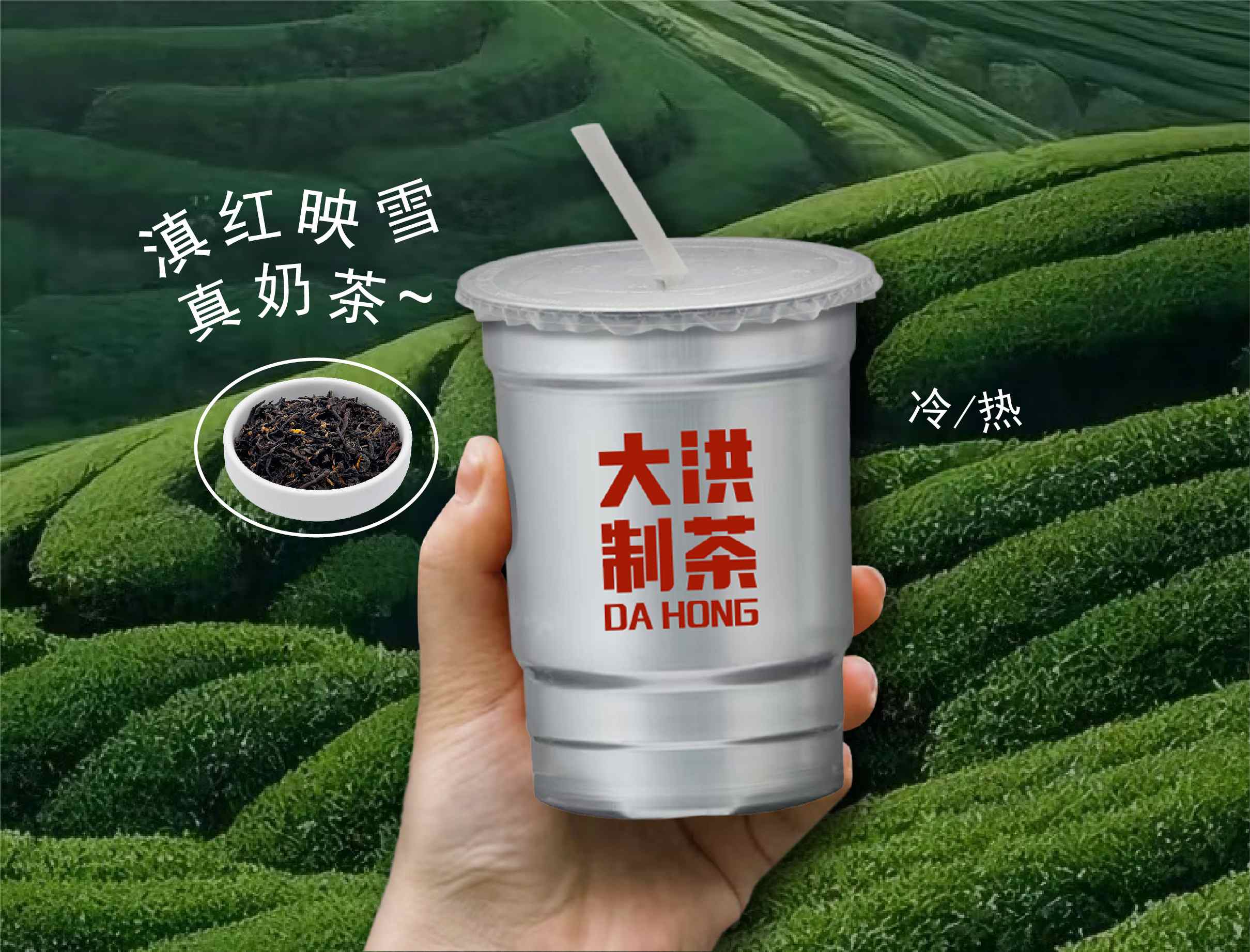 滇红映雪.真奶茶