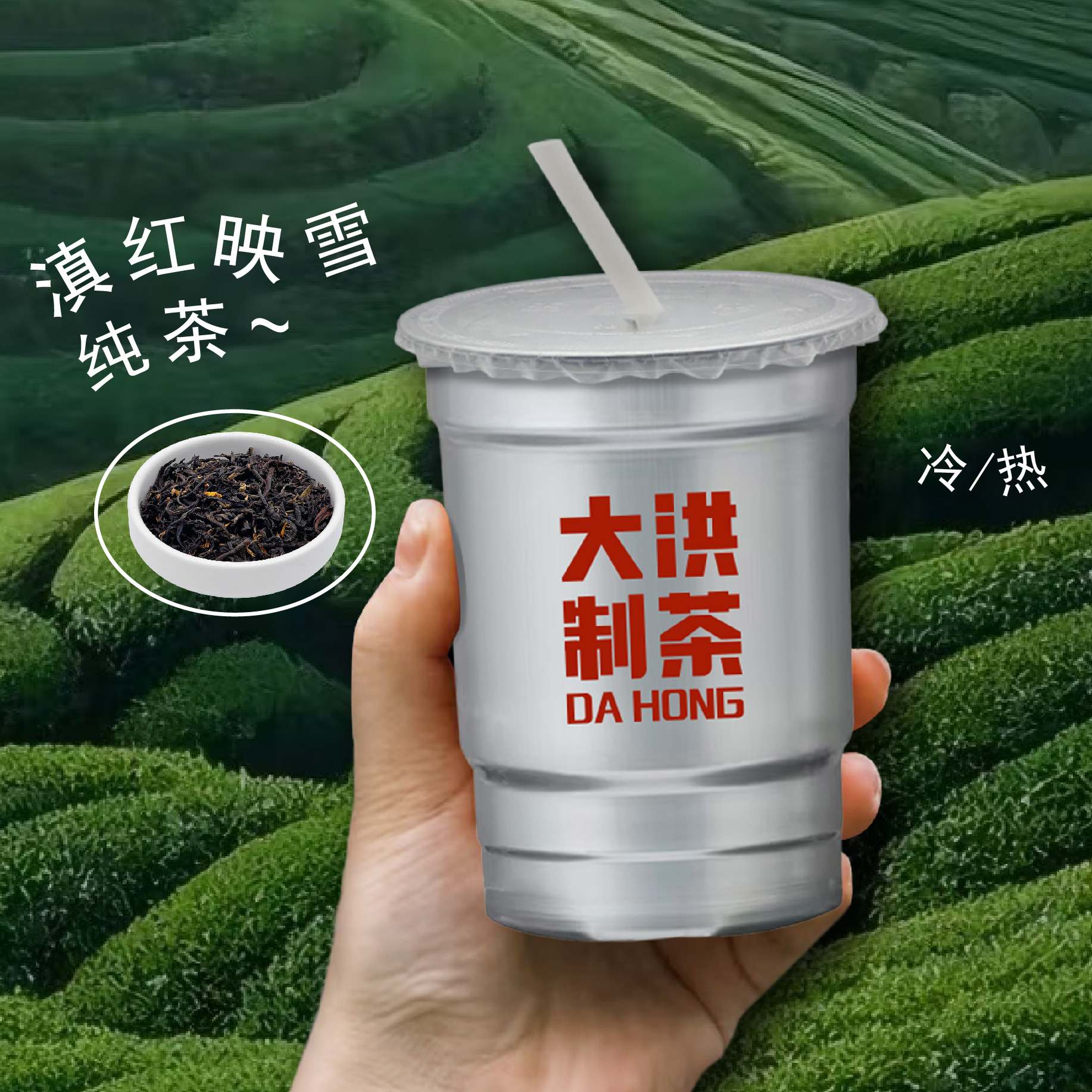 滇红映雪(现萃纯茶)