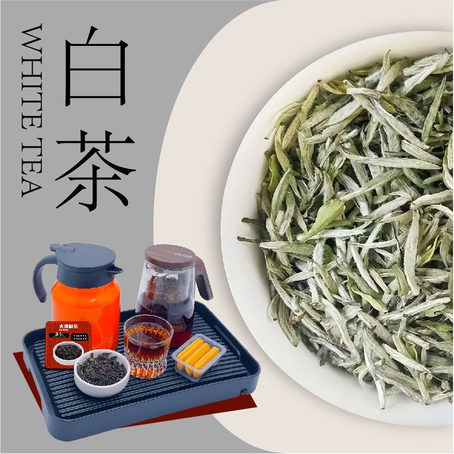 白茶类功夫冲泡