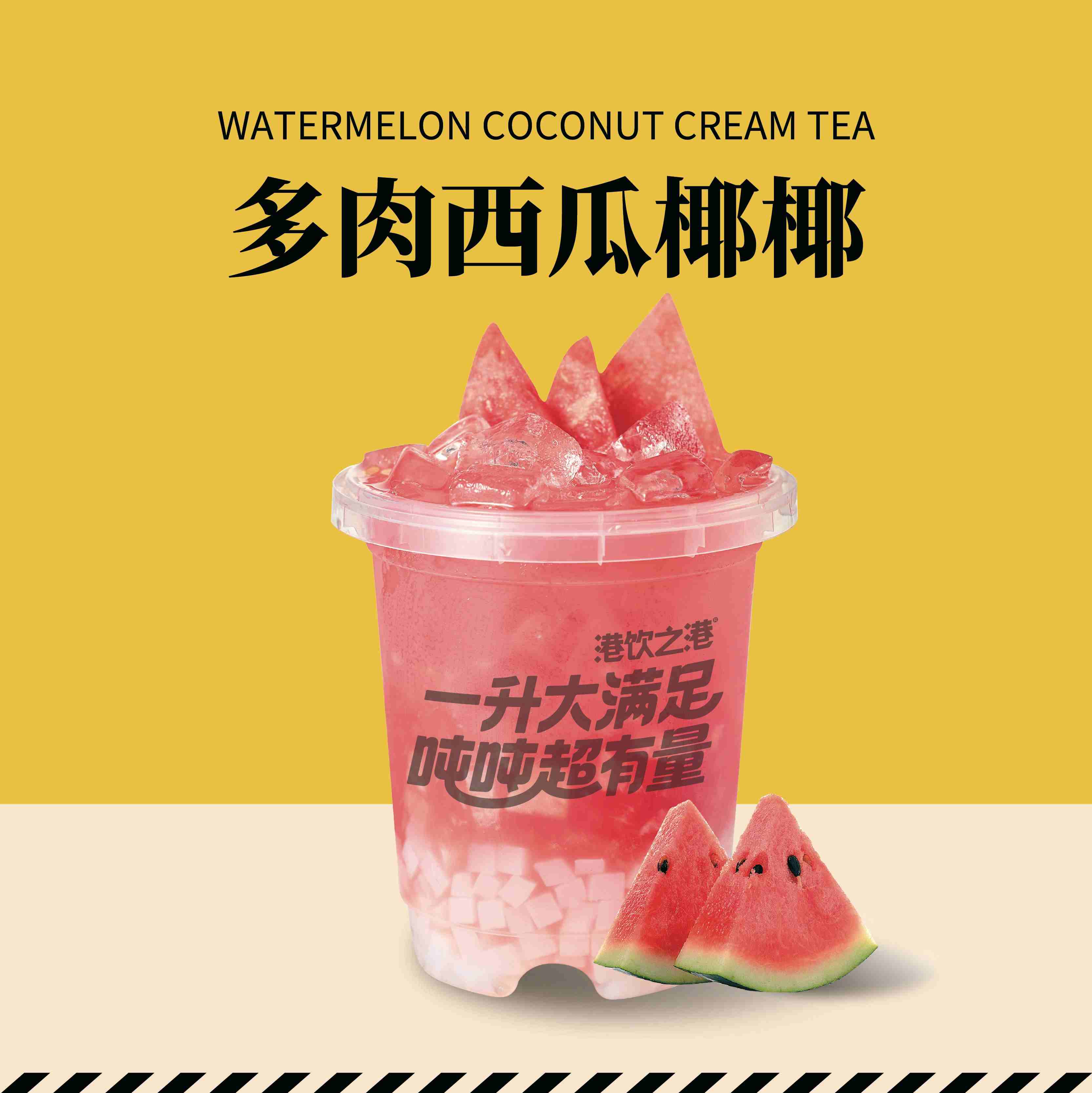 吨吨多肉西瓜椰椰（1L）