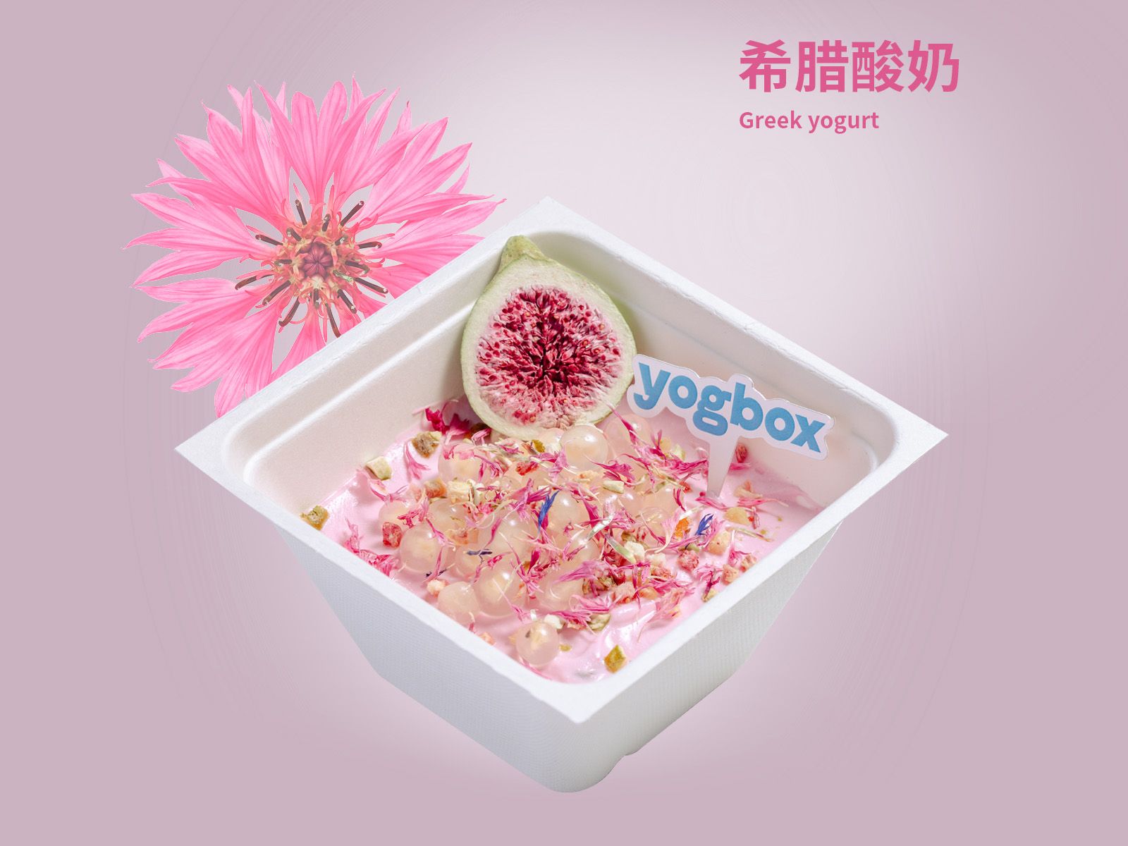 无花果氧颜希腊酸奶盒