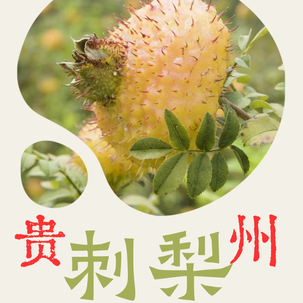 刺梨橙