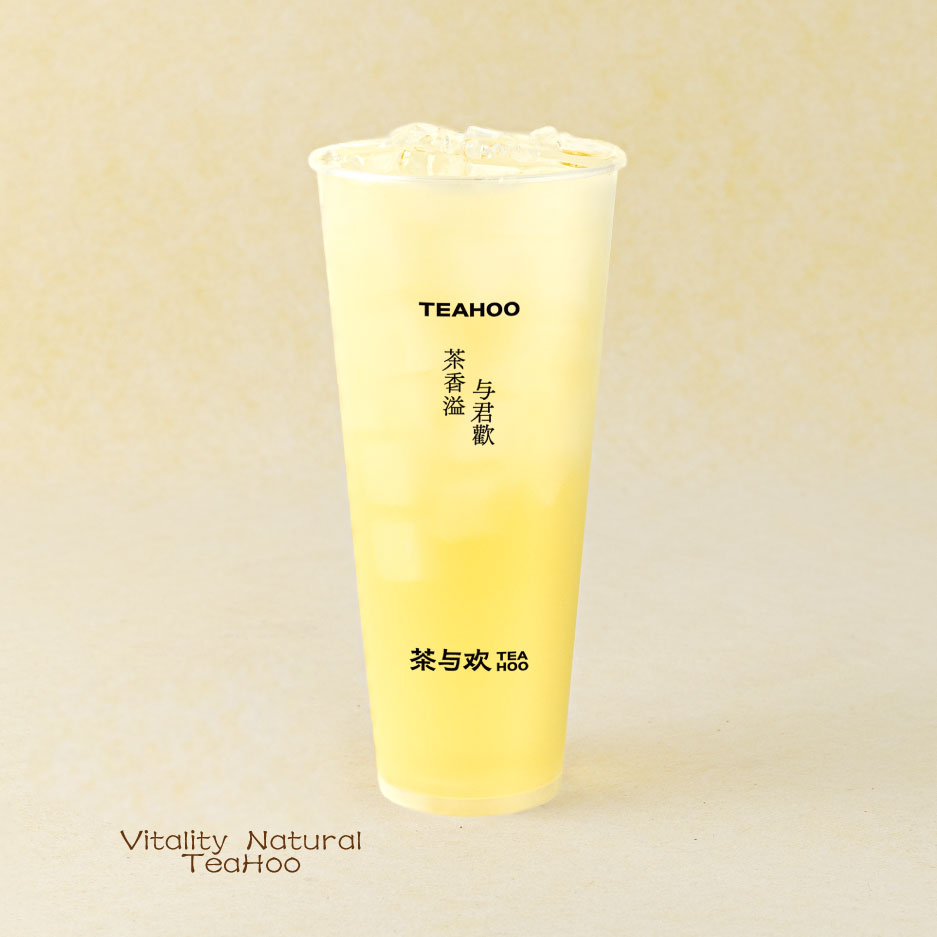 鲜沏·山茶花茶