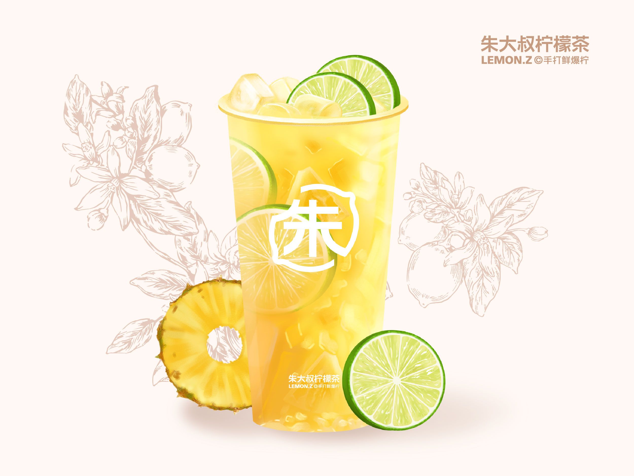 老盐多肉凤梨