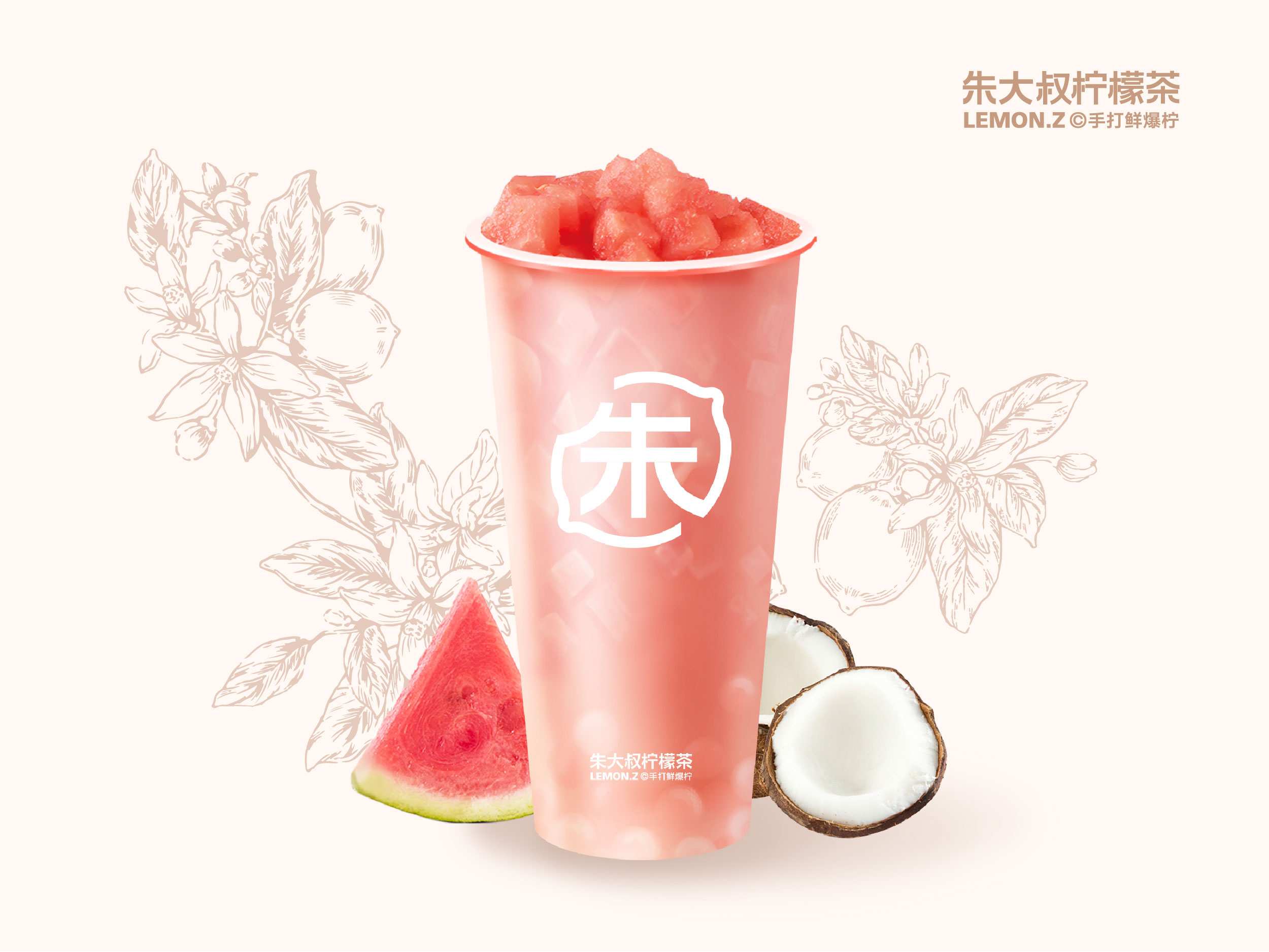 手捣西瓜·多肉椰椰
