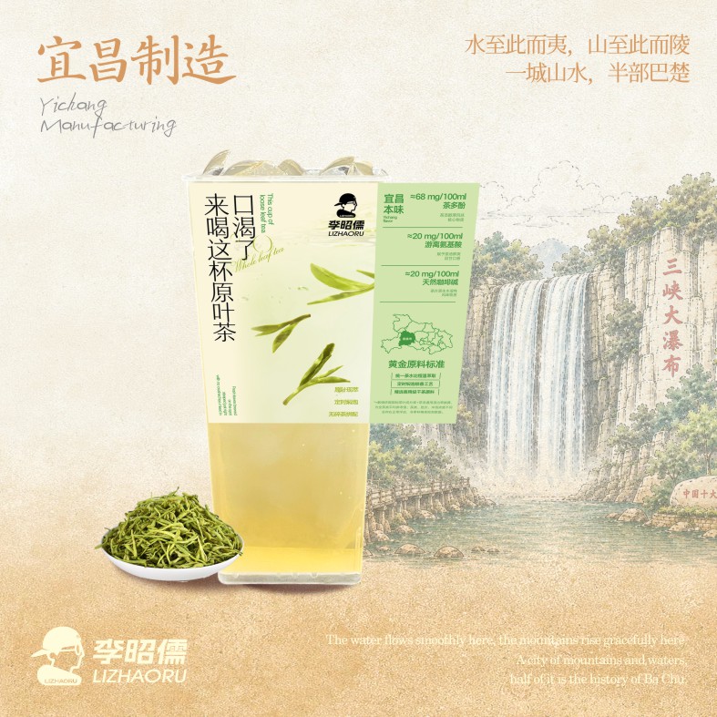 茉莉绿茶纯茶