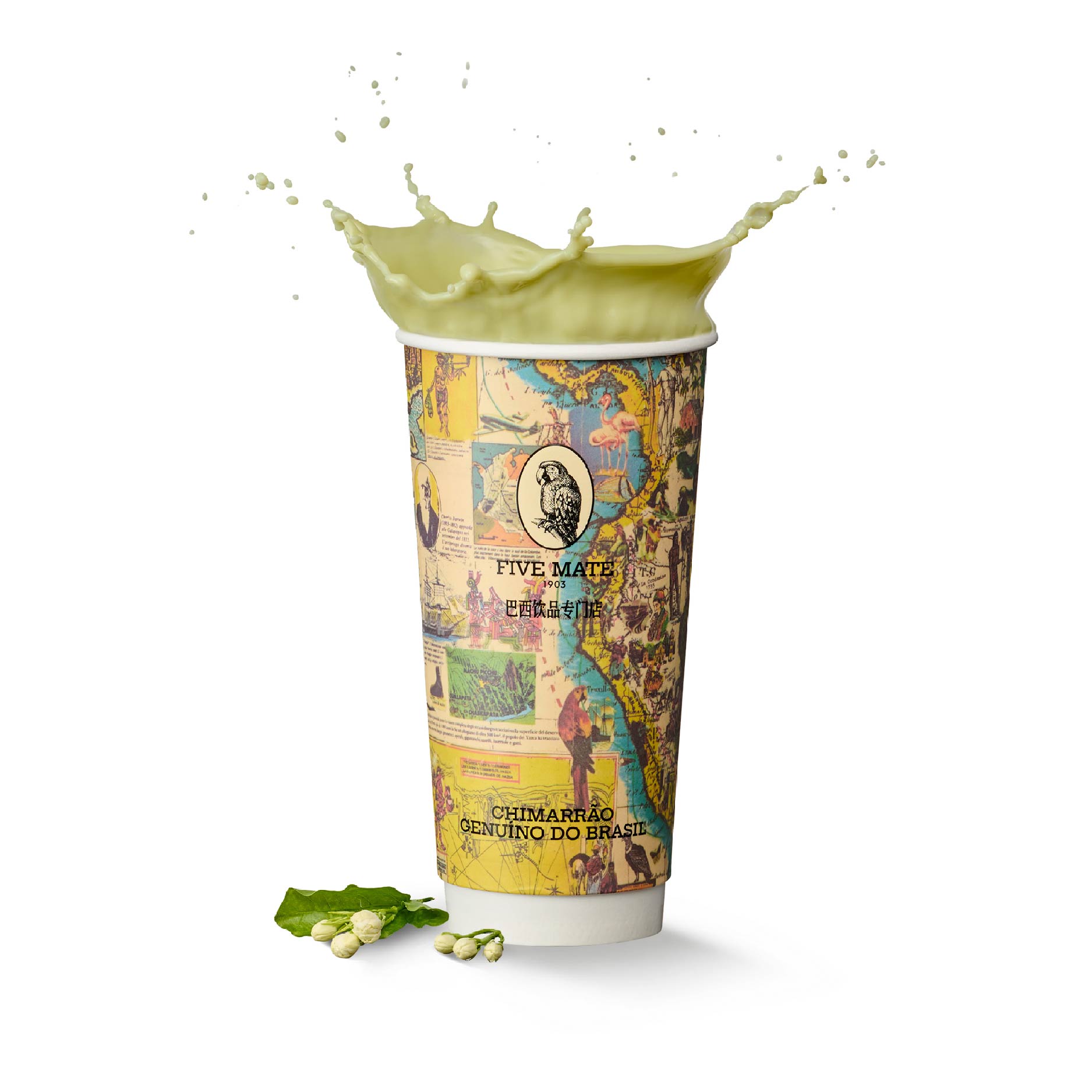 茉莉公主马黛