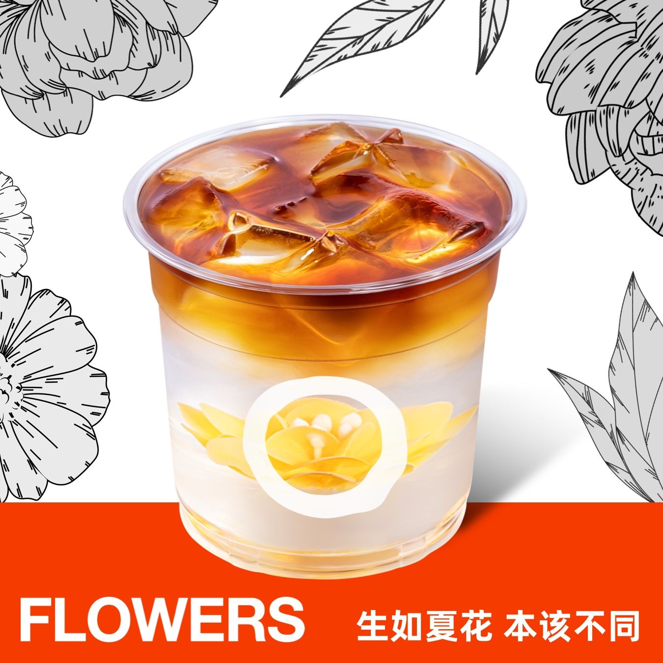 柚见瑰夏冷萃