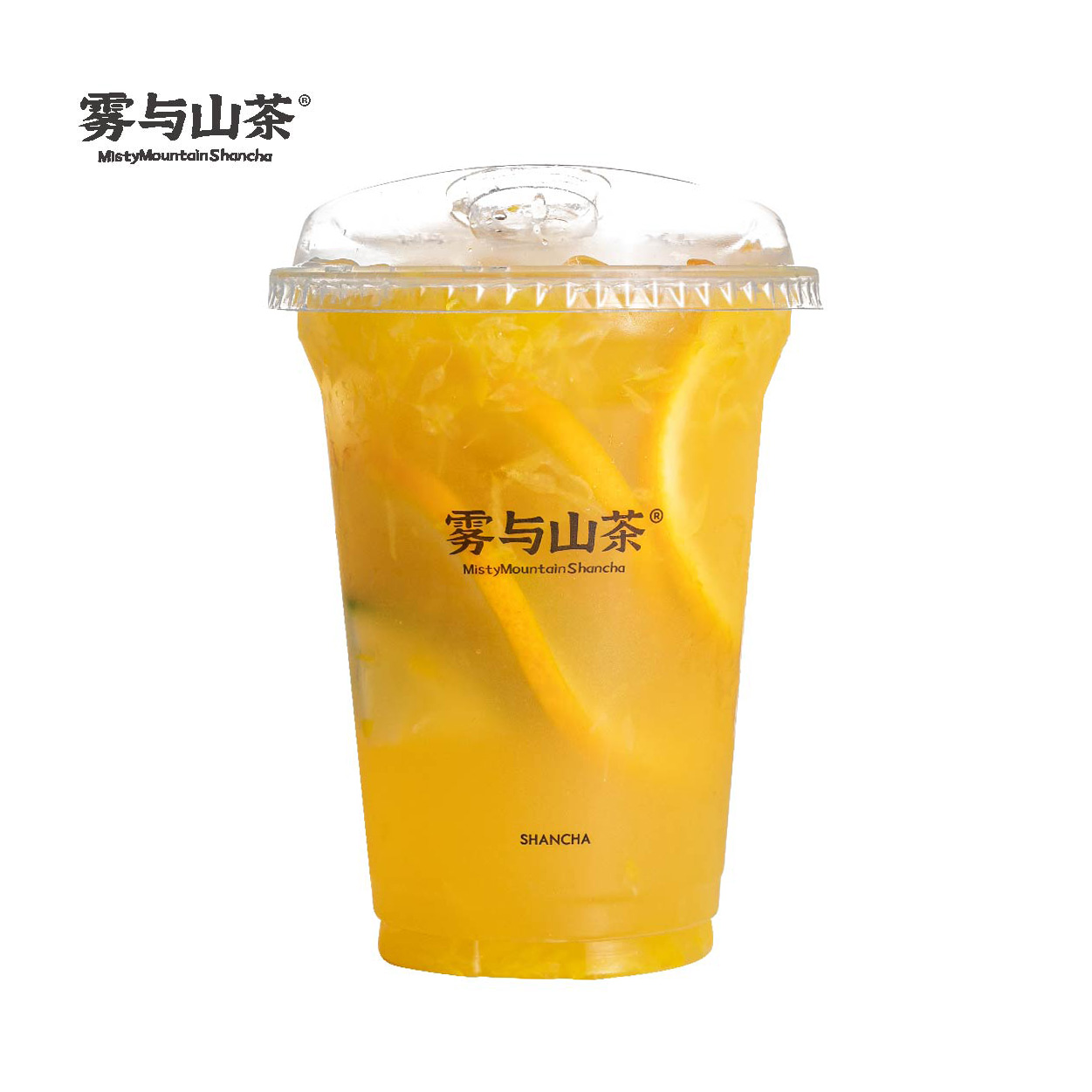 柳橙山茶花