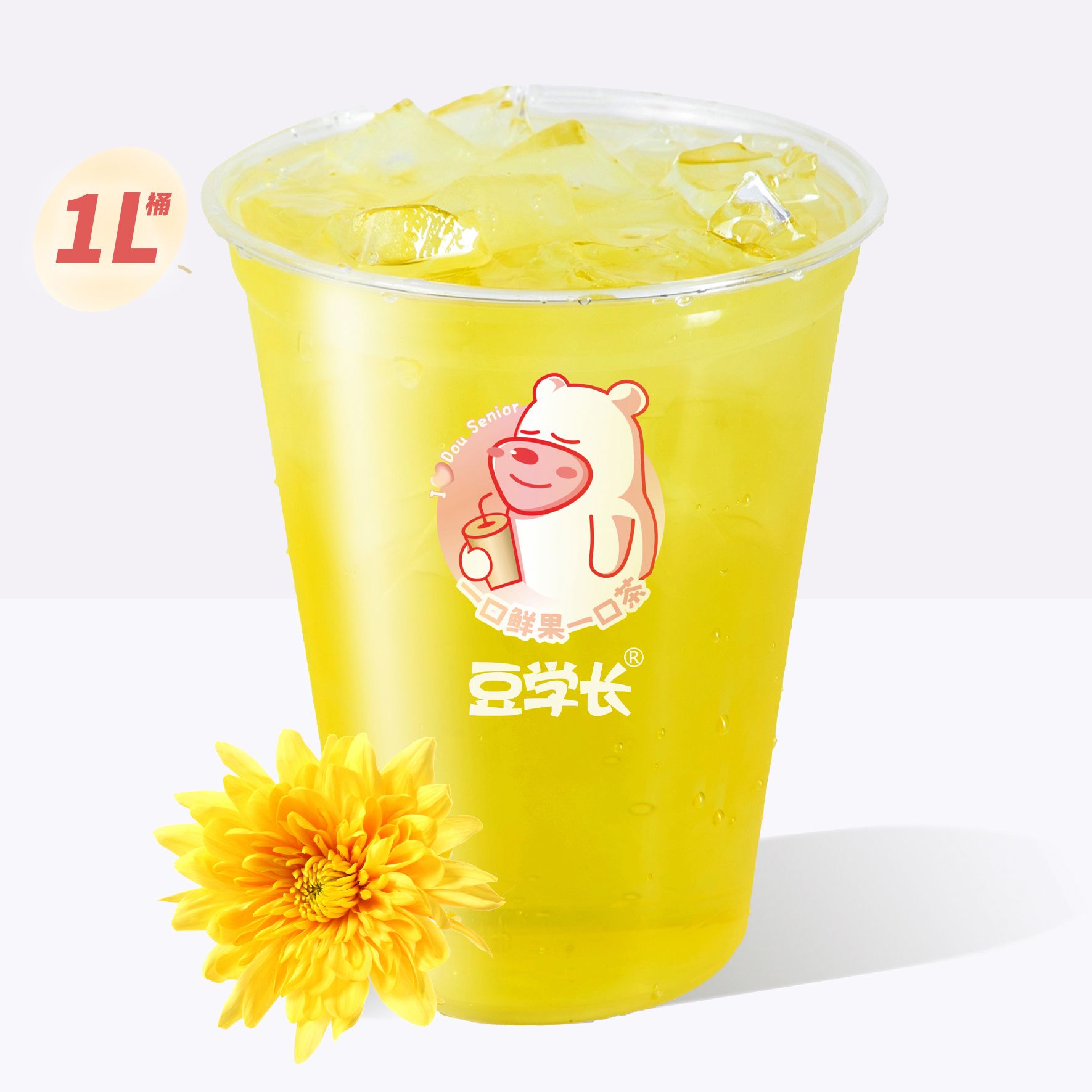 霸王桶桐乡胎菊