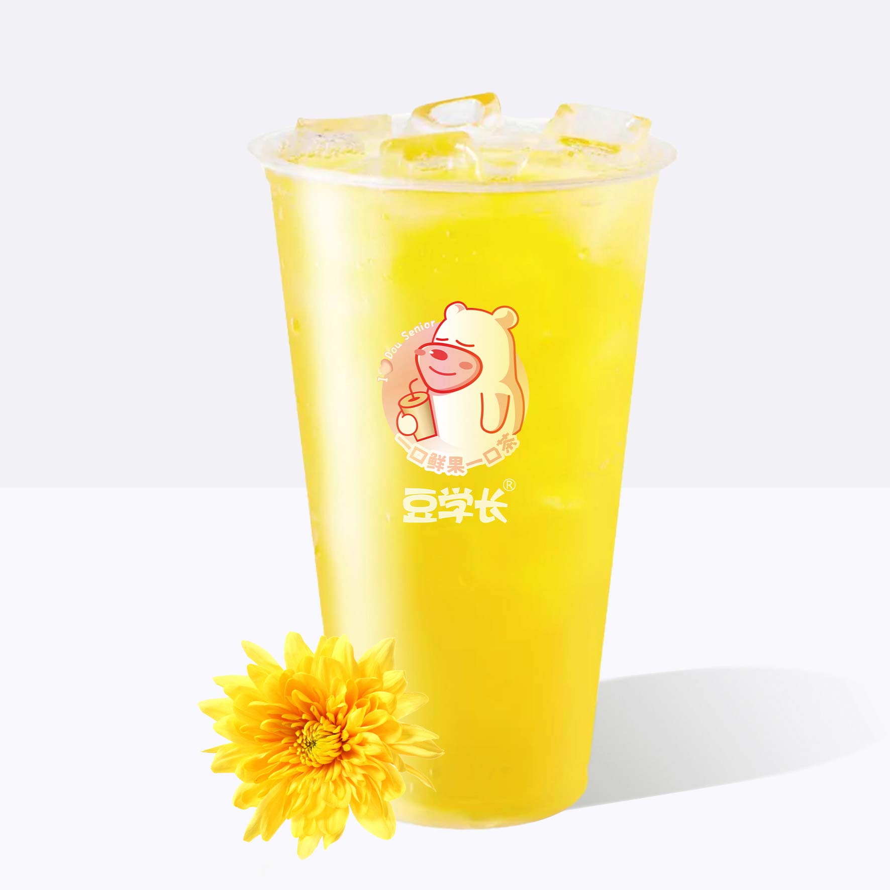 桐乡胎菊