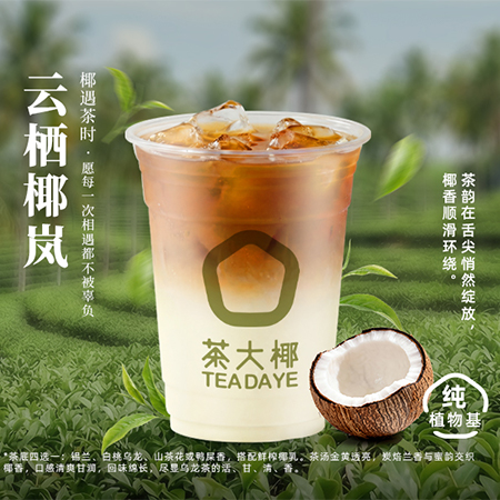 云栖椰岚