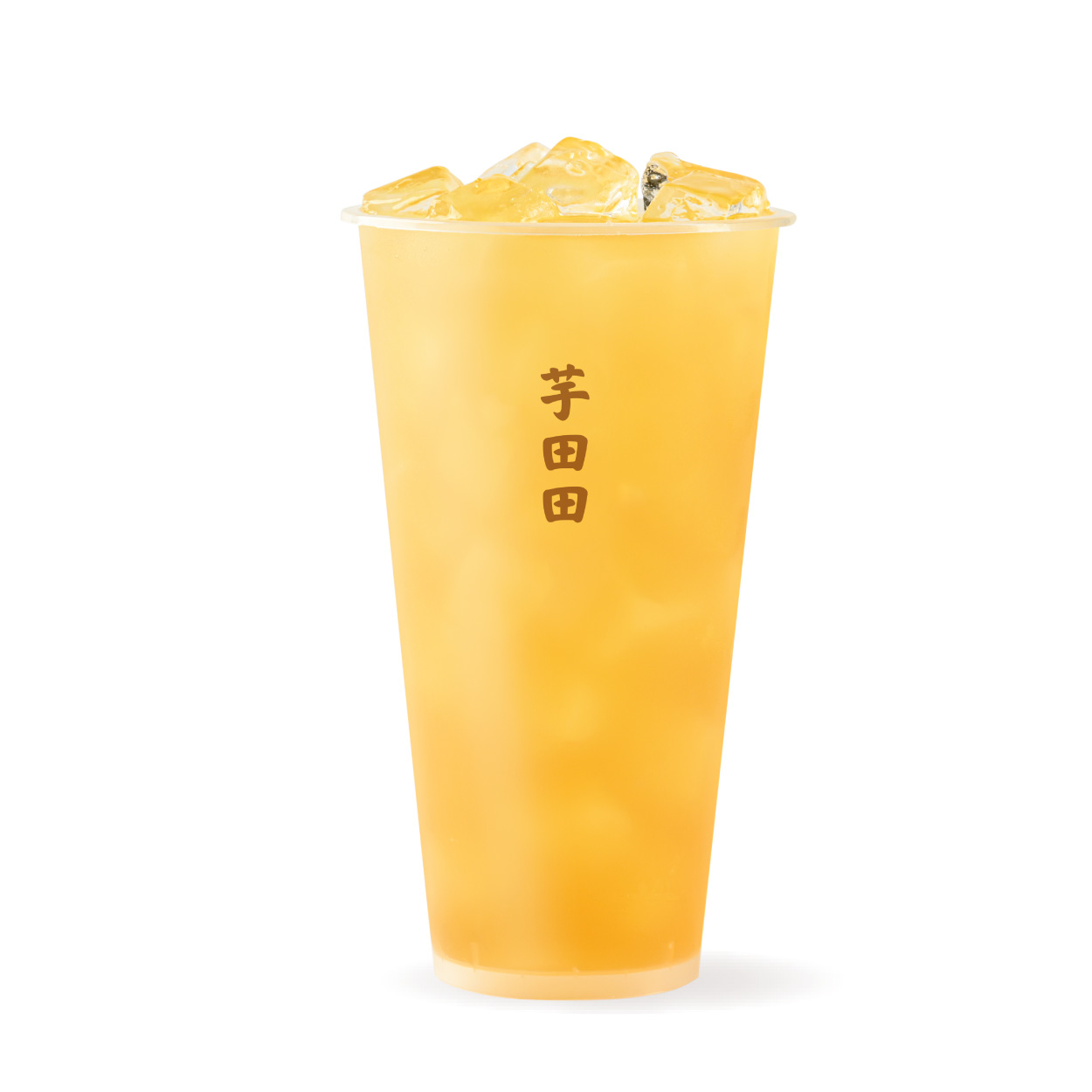金奖·茉莉花茶