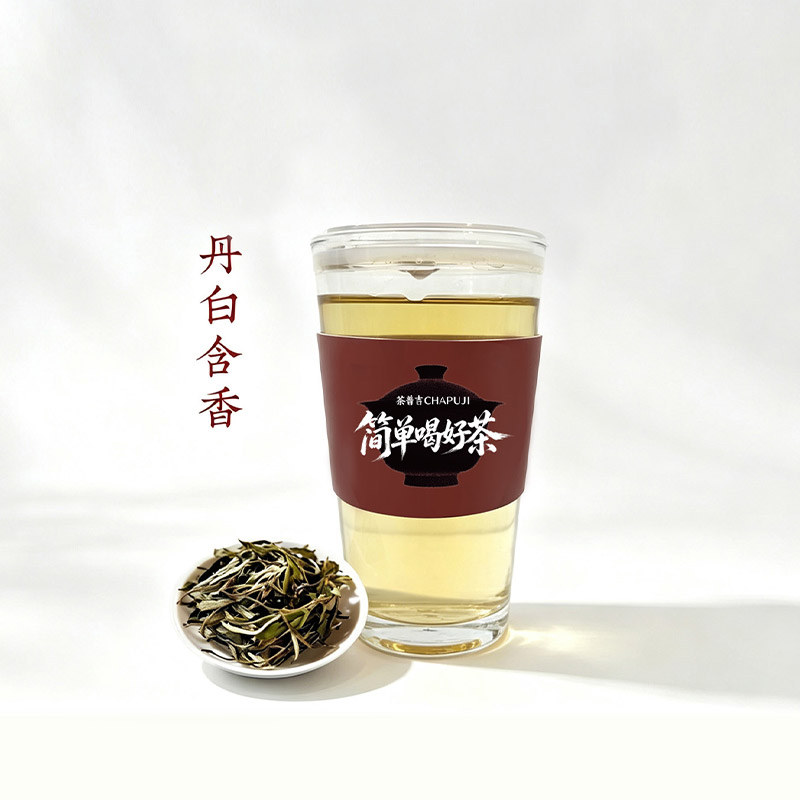 丹白含香（2020白牡丹）