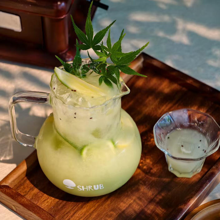 苦尽甘来油柑茶