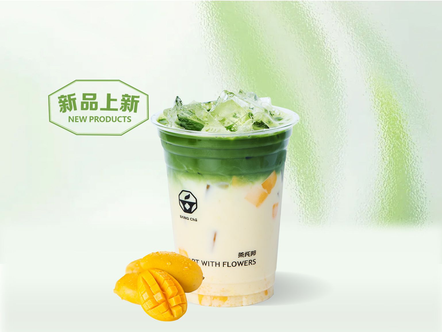 芒果山茶茉绿