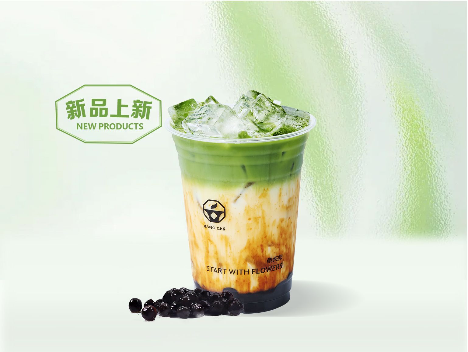 波波山茶茉绿
