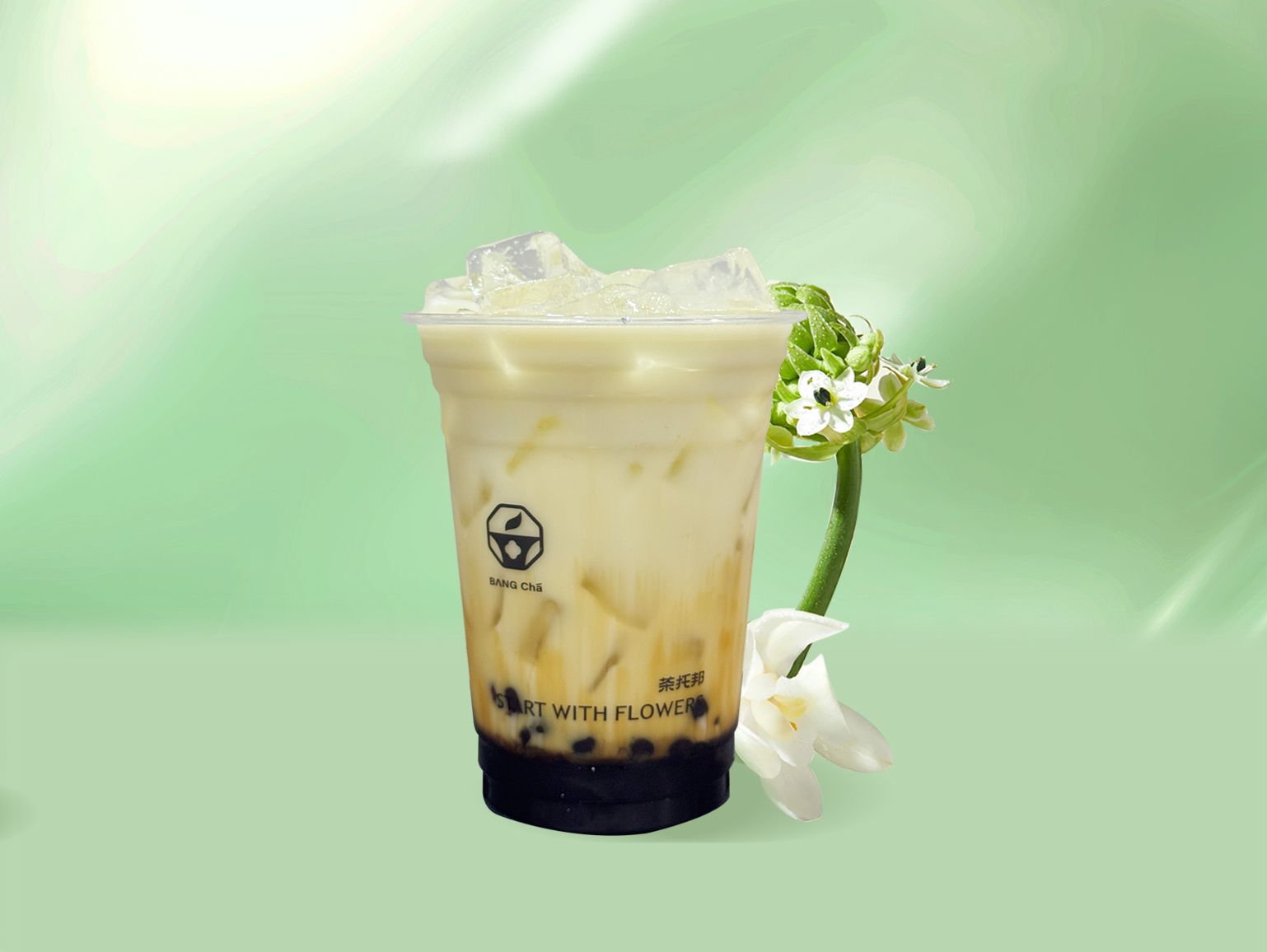 山茶花波波烤奶