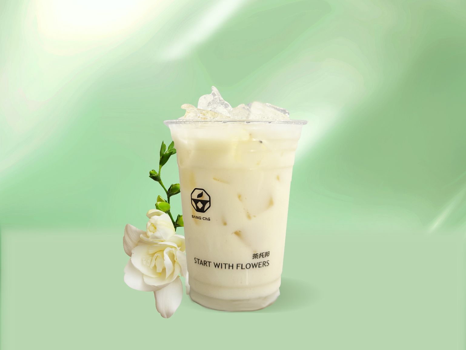茉香奶绿
