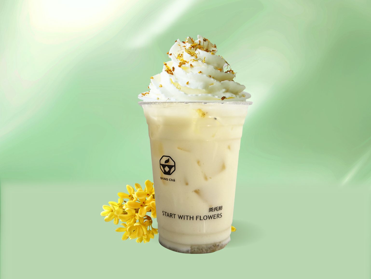 月桂引（桂花茉莉鲜奶茶）