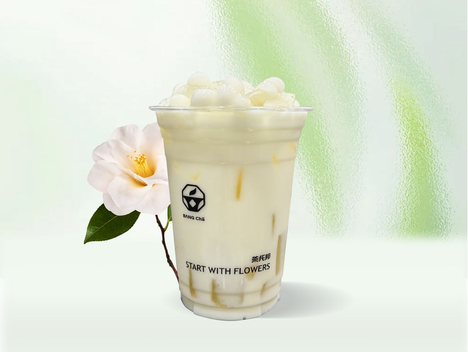 山茶花生椰波波
