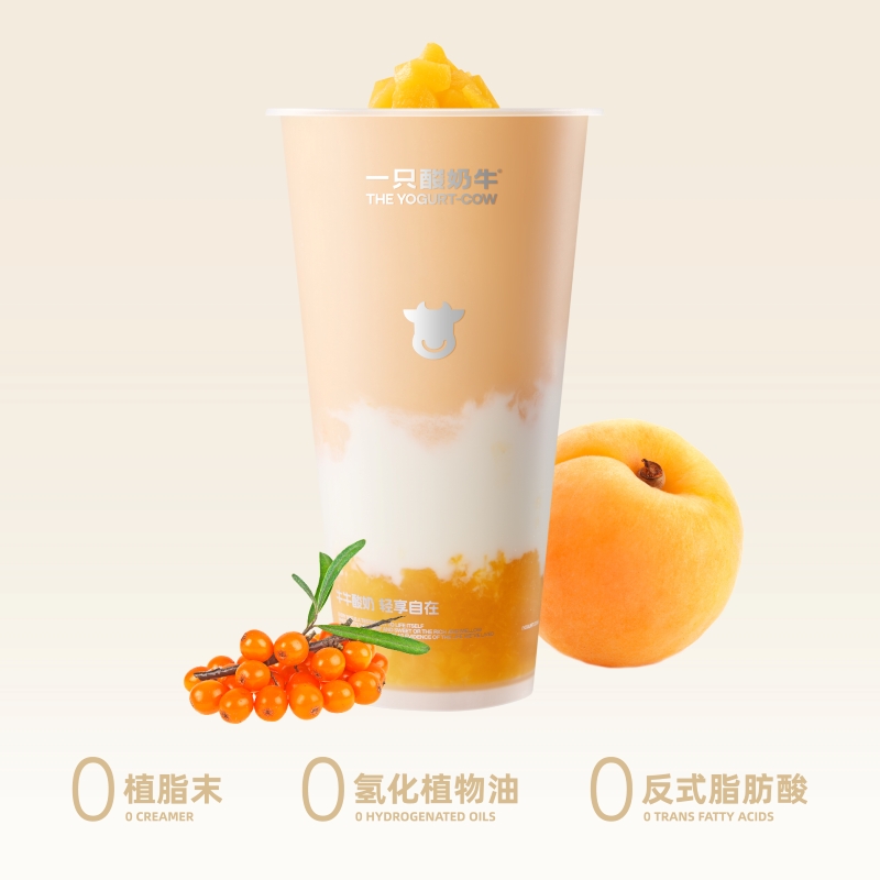 金杏沙棘酸奶鲜酪
