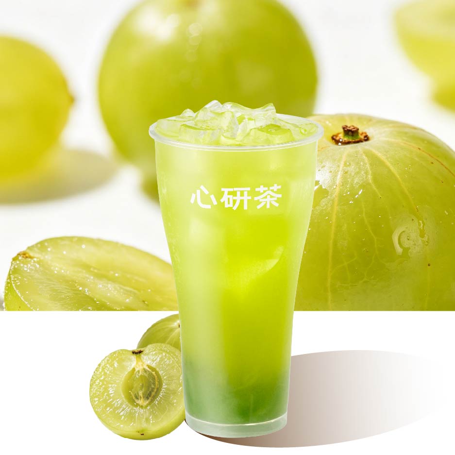 青提橄榄油柑