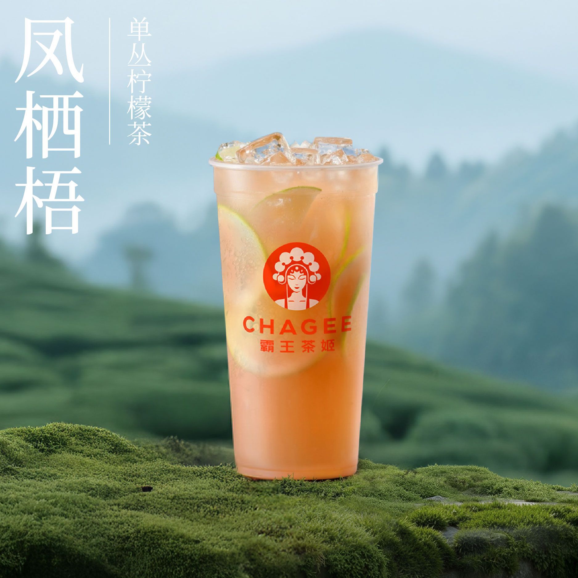 凤栖梧