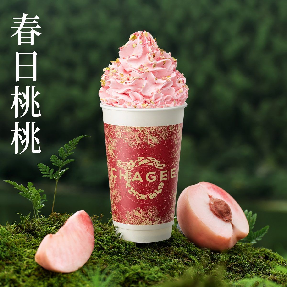 春日桃桃雪顶冰